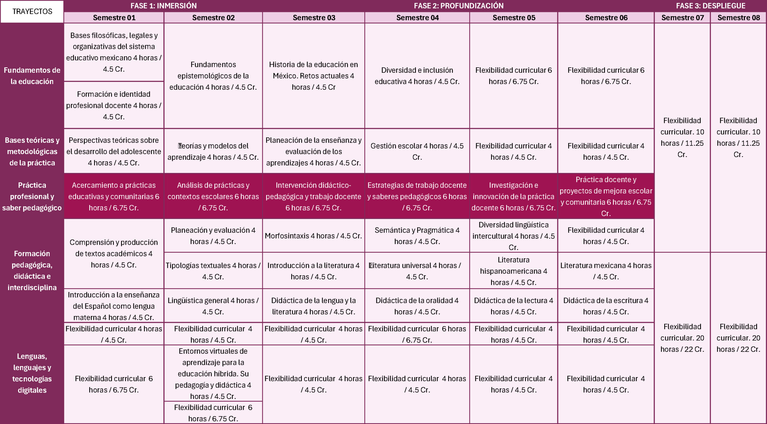 malla curricular ESPAÑOL